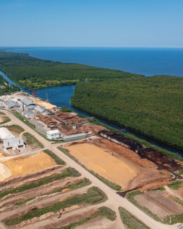 С Днем работников леса и лесоперерабатывающей промышленности!