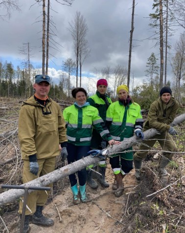 ВЕСЕННИЕ ЛЕСОПОСАДКИ