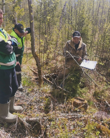 КУРС ПОВЫШЕНИЯ КВАЛИФИКАЦИИ "МАСТЕР ЛЕСА"