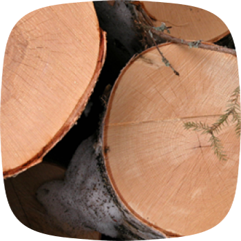 Круглые лесоматериалы